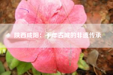 陕西咸阳：千年古城的非遗传承