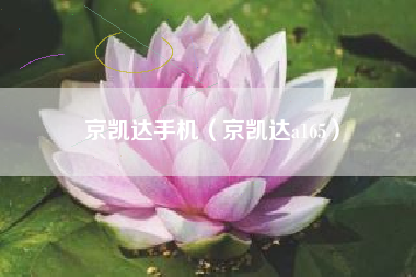 京凯达手机（京凯达a165）