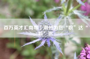 百万英才汇南粤｜潮州为您“职”达“薪”愿
