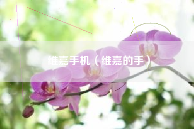 维嘉手机（维嘉的手）
