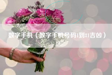 数字手机（数字手机号码1到81吉凶）