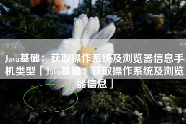 Java基础：获取操作系统及浏览器信息手机类型「Java基础：获取操作系统及浏览器信息」