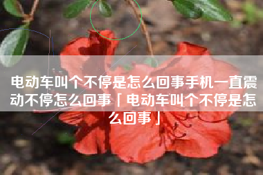 电动车叫个不停是怎么回事手机一直震动不停怎么回事「电动车叫个不停是怎么回事」